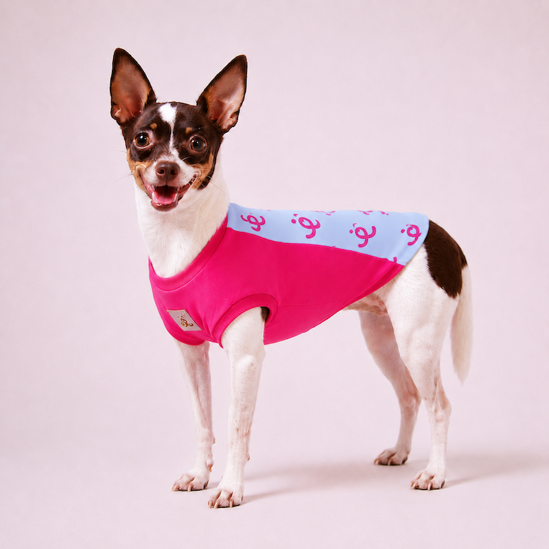 T-shirt PetChic Pink e Azul Bebê
